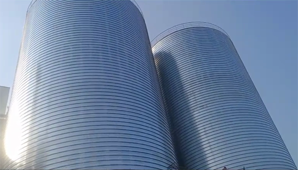 东西湖2座混凝土高架卷板仓